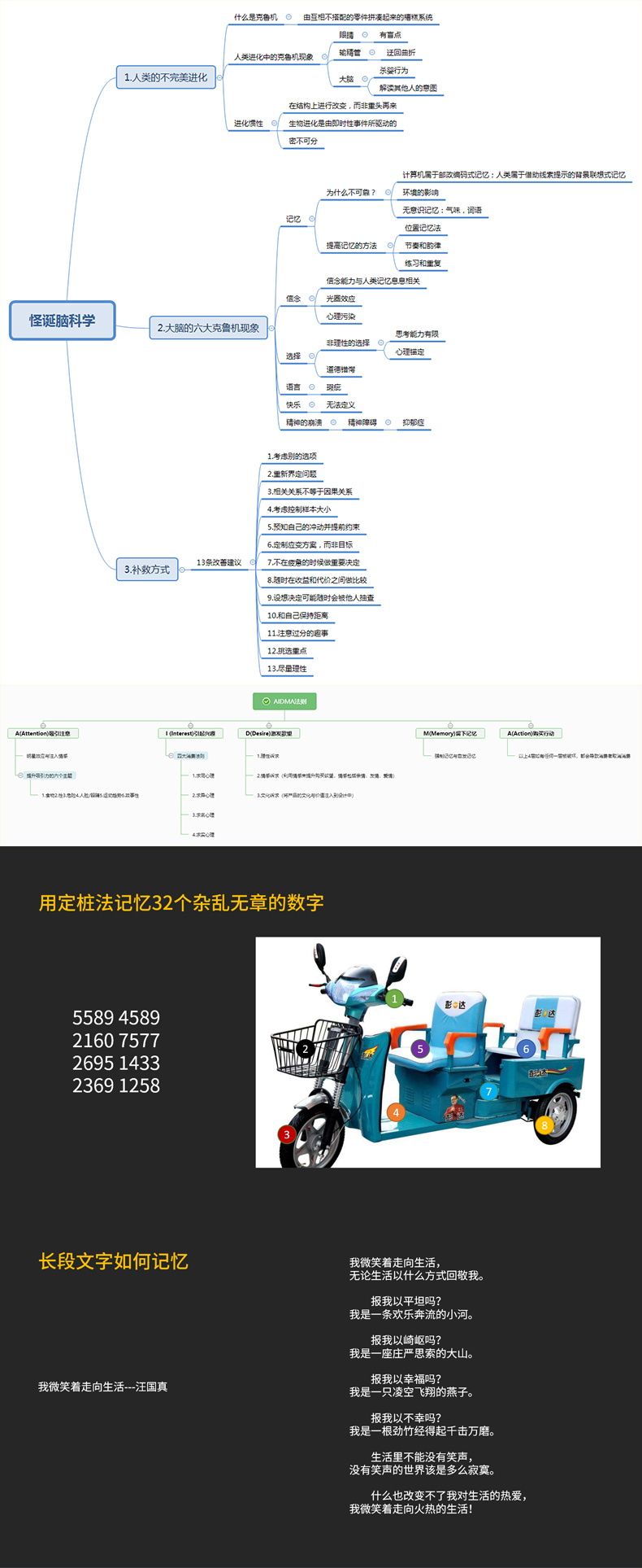 思维导图_08.jpg