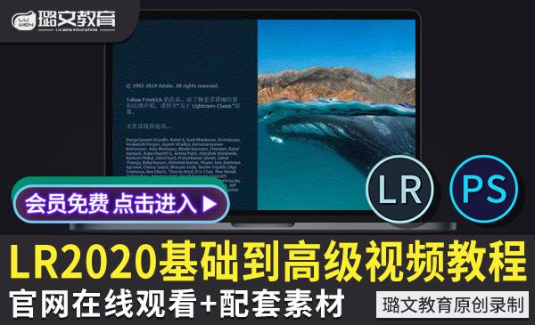 LR2020视频教程摄影照片后期Lr人像修图调色相册制作零基础自学CC