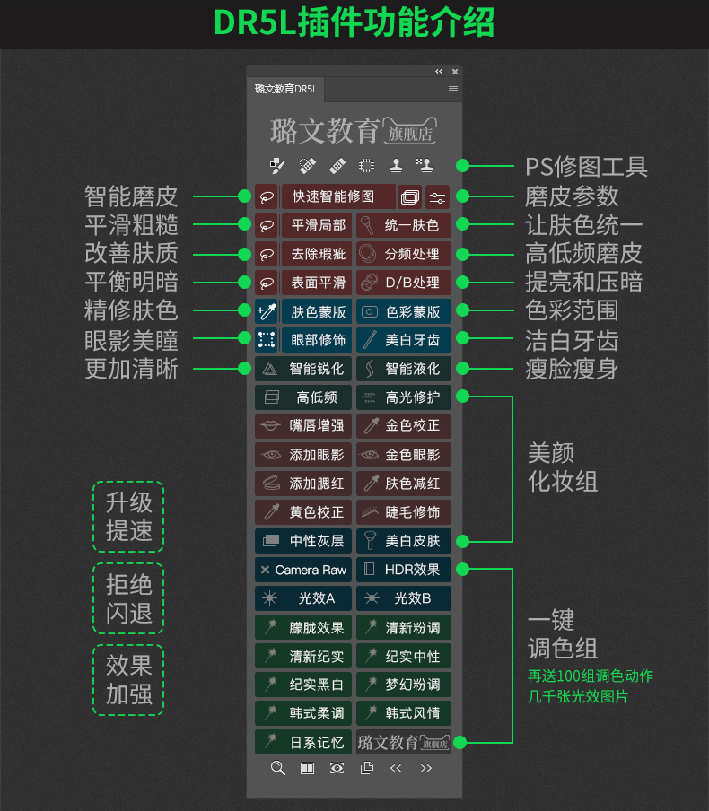 DR5L_04.jpg